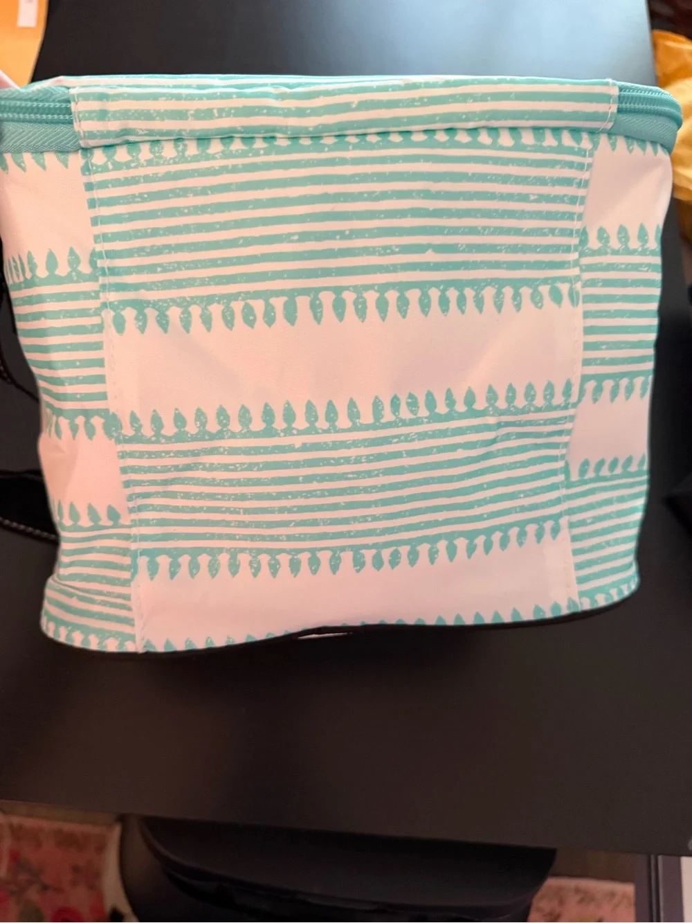 SCOUT the brand new Ferris Cooler Lunch Box with mint and white stripes. NWT!